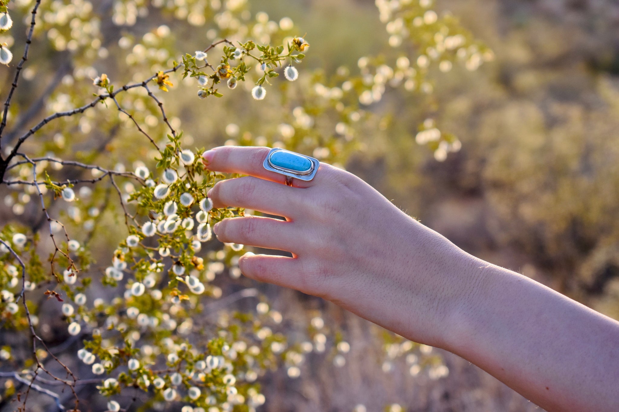 The Skyline Ring